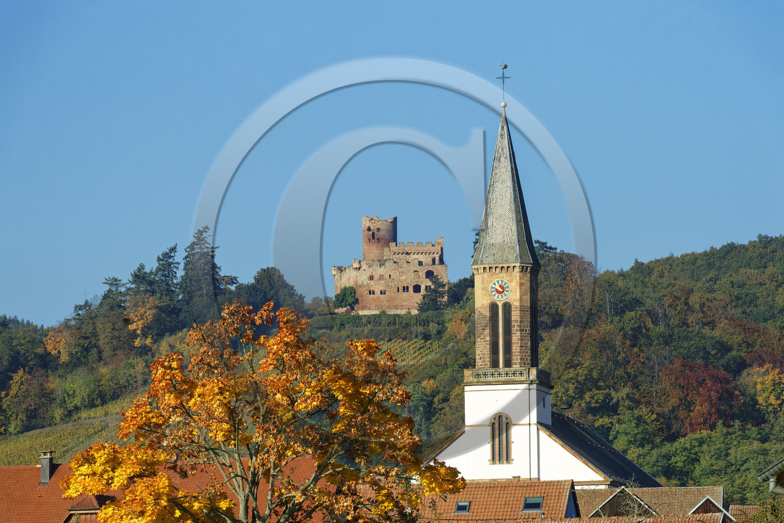 France, Kintzheim