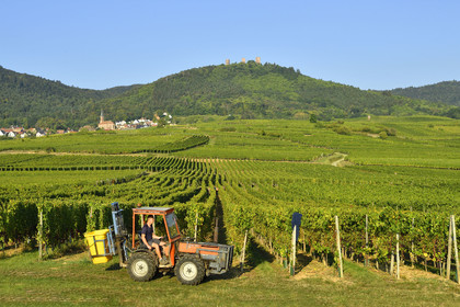 France, Husseren