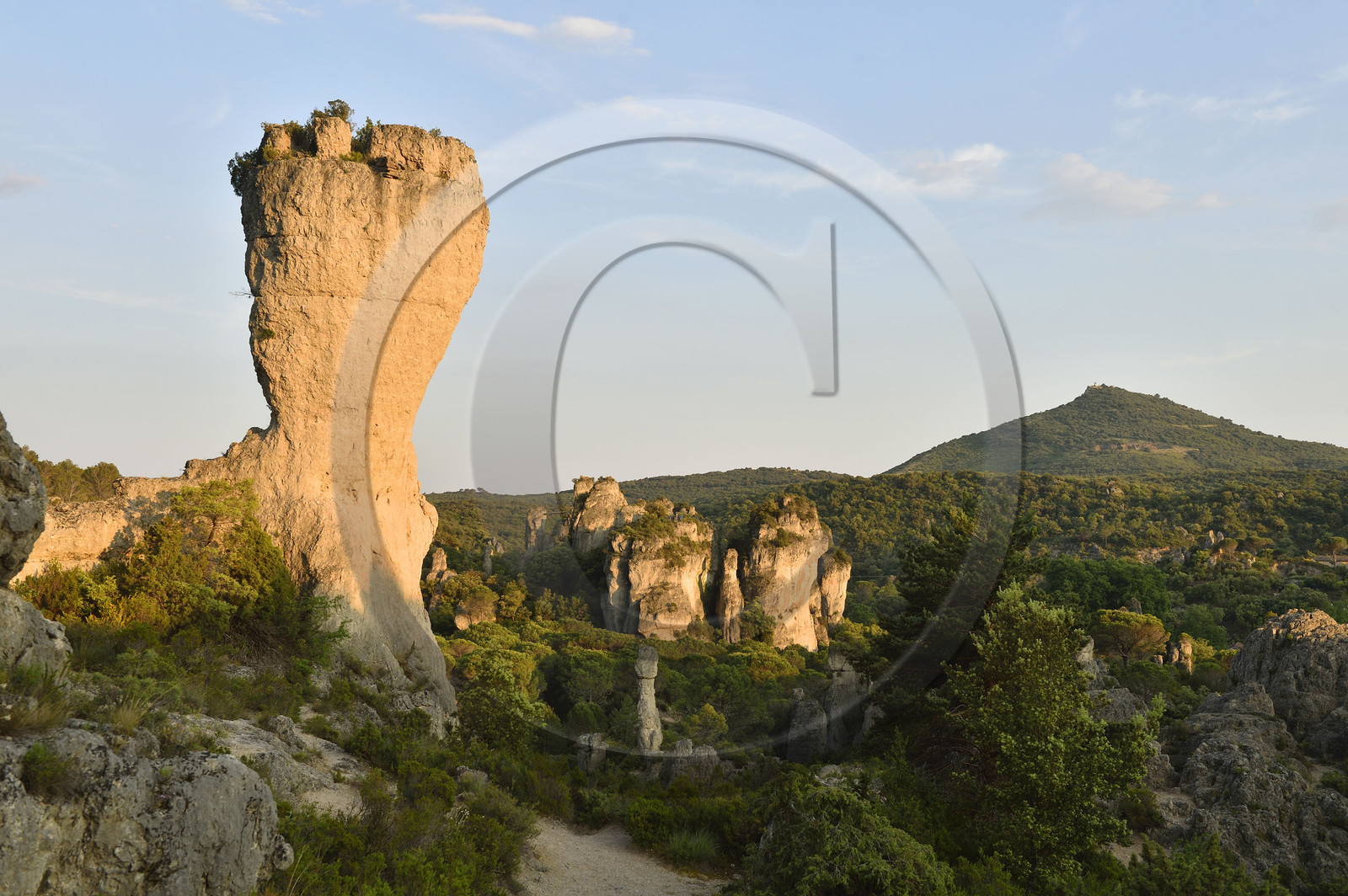 France, Moureze