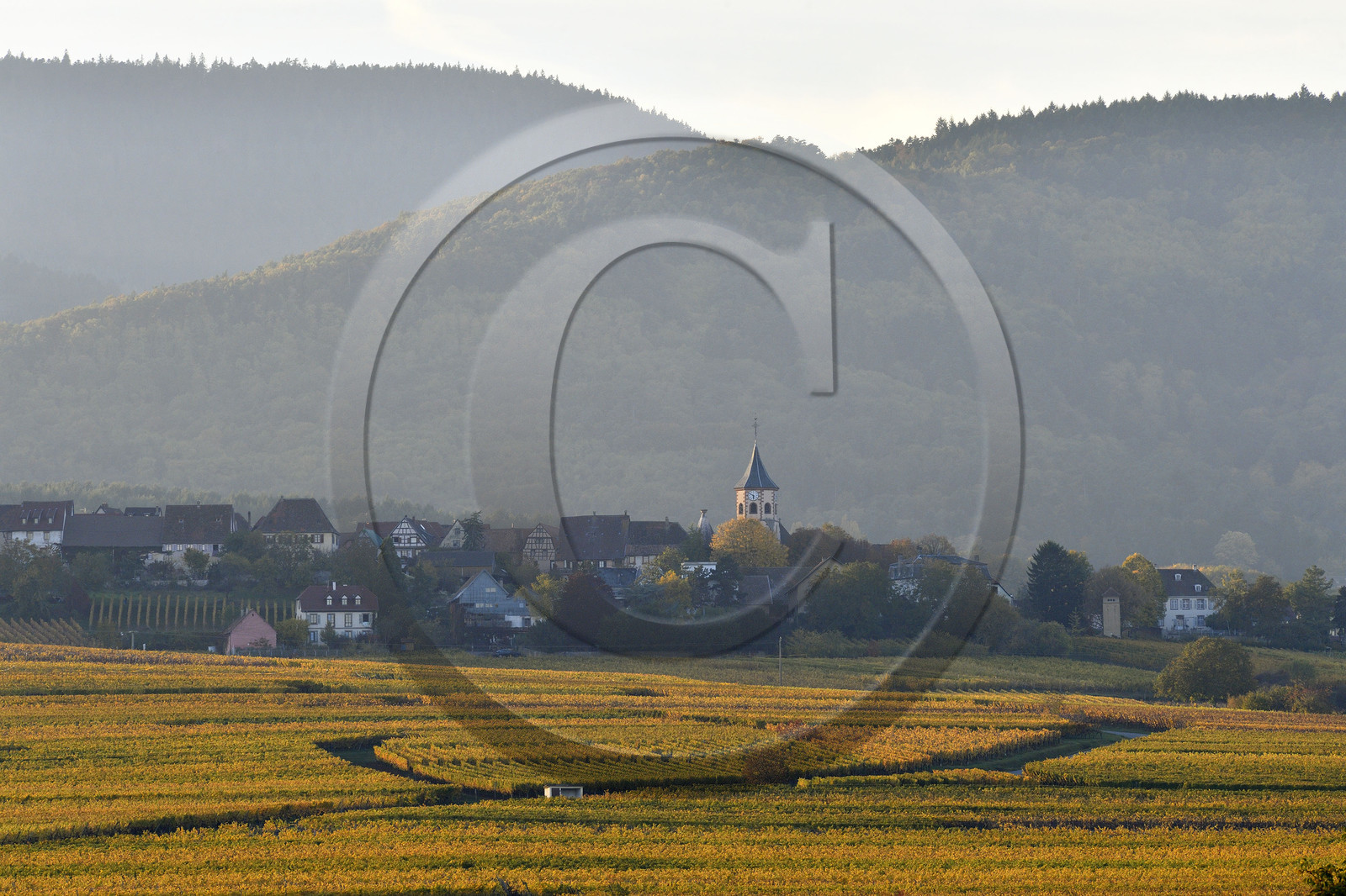 France, Route des vins