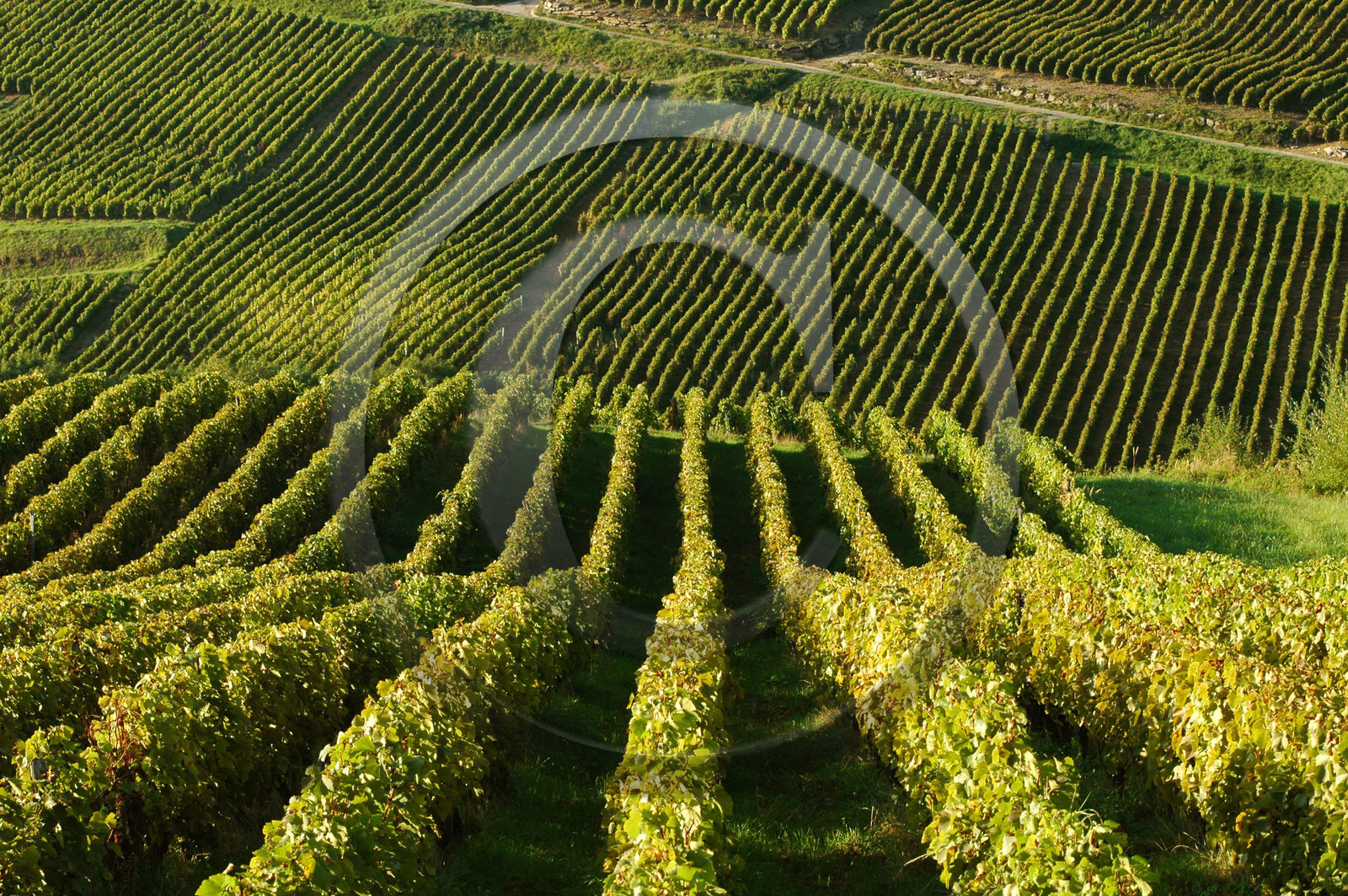 Franche-Comte, France