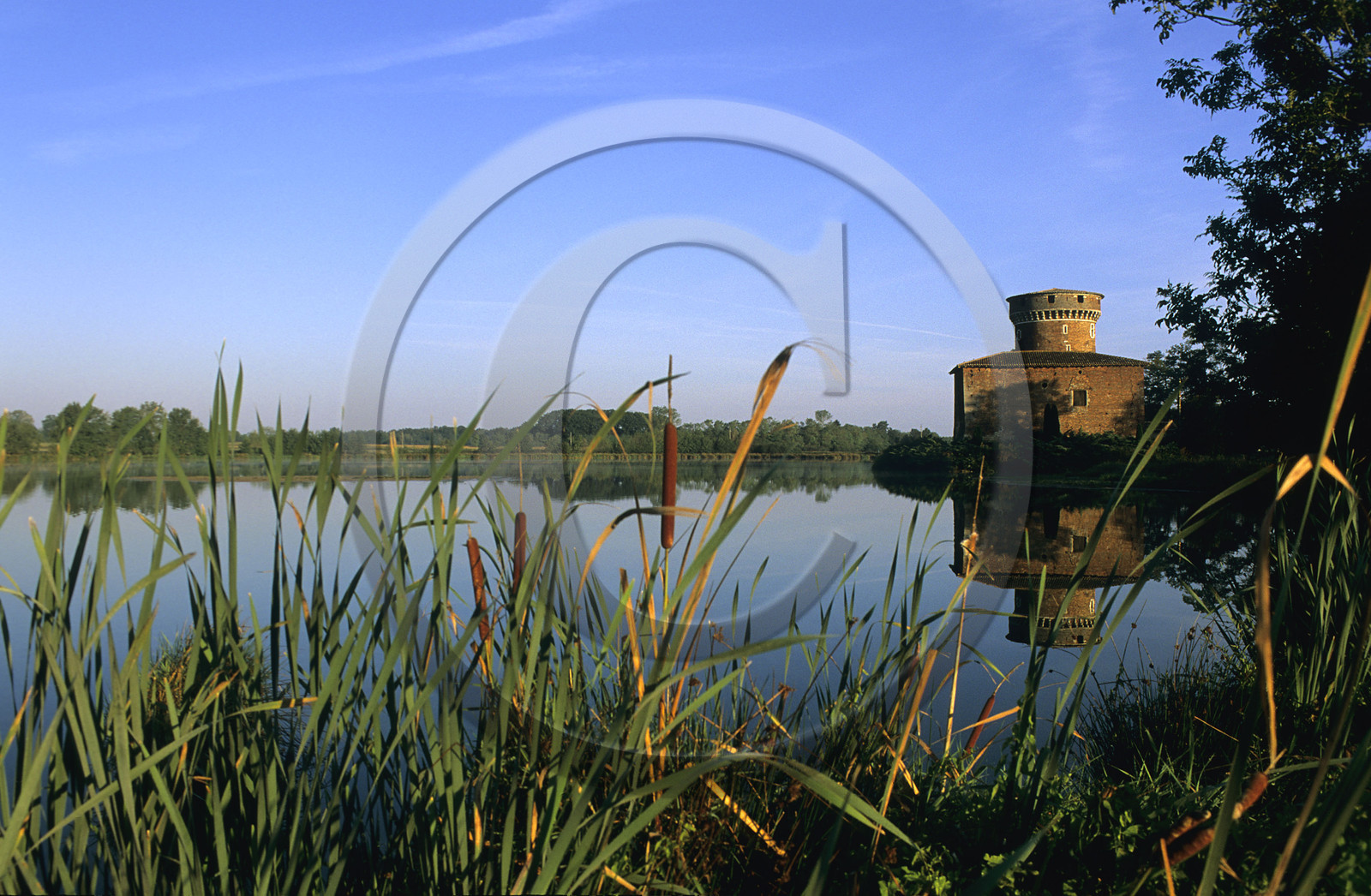 LA DOMBES (01), FRANCE