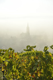 France, Dambach la Ville