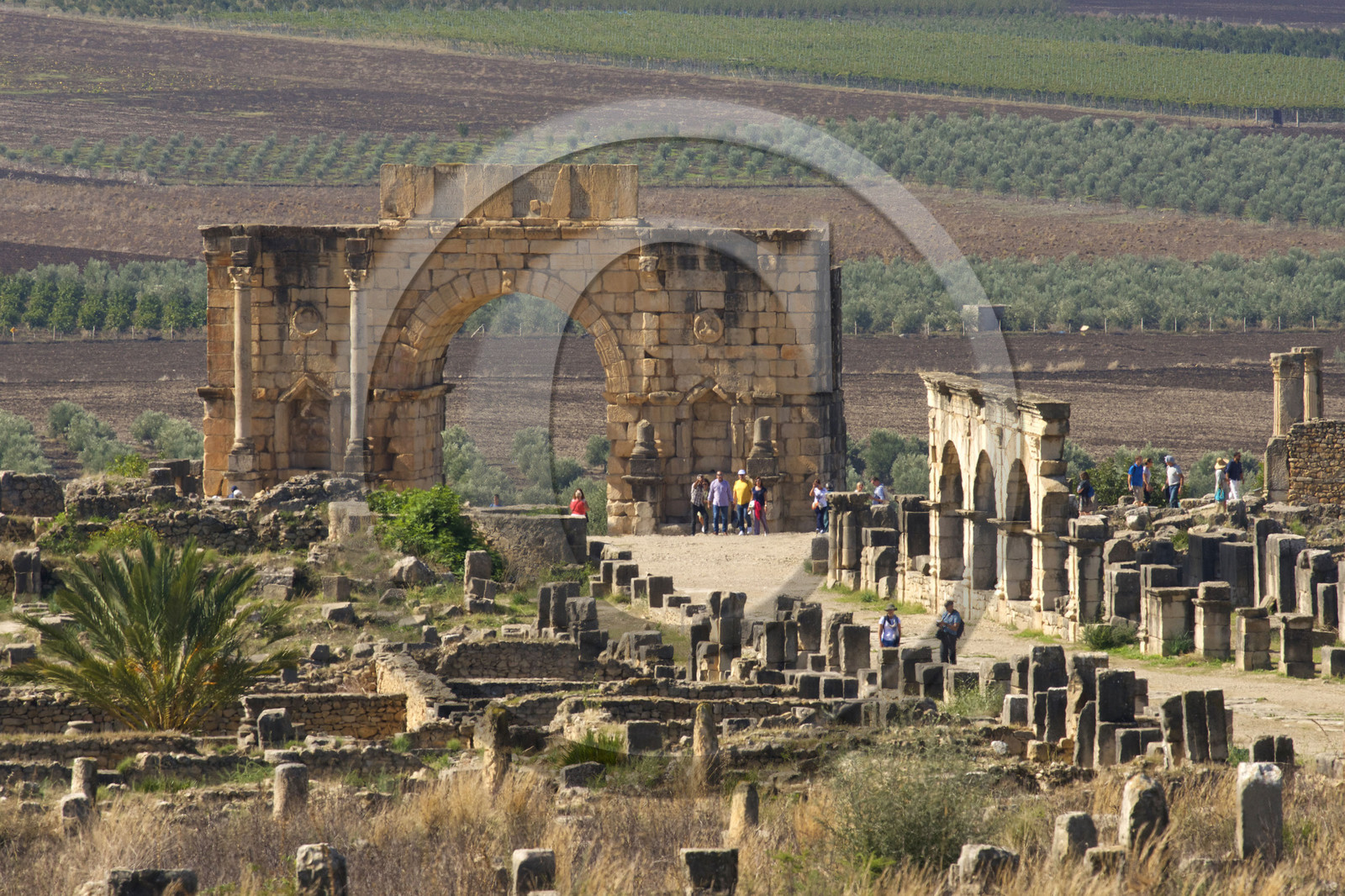 Maroc, Volubilis
