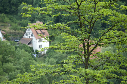 Allemagne, Rothenburg