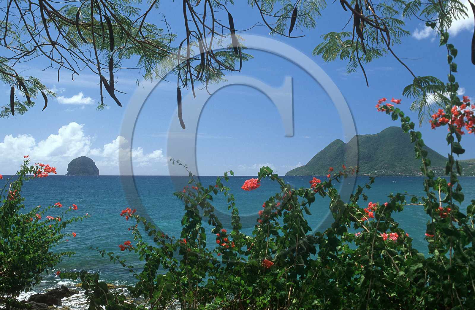 Rocher du Diamant. Martinique. Antilles Françaises