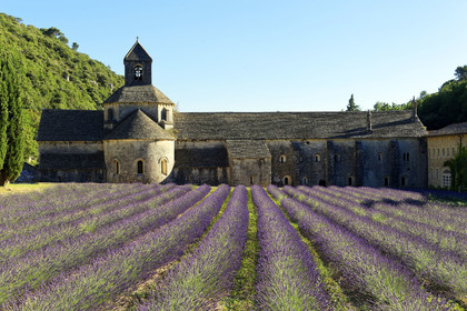 France, Senanque