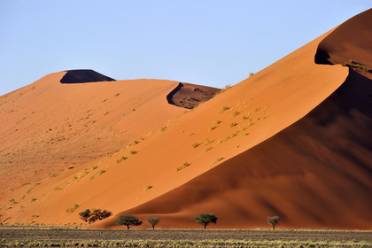 Namibie, Sossusvlei