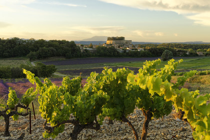 France, Grignan
