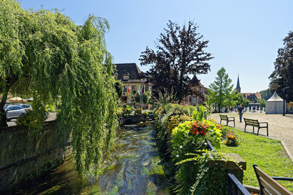 France,  Niederbronn