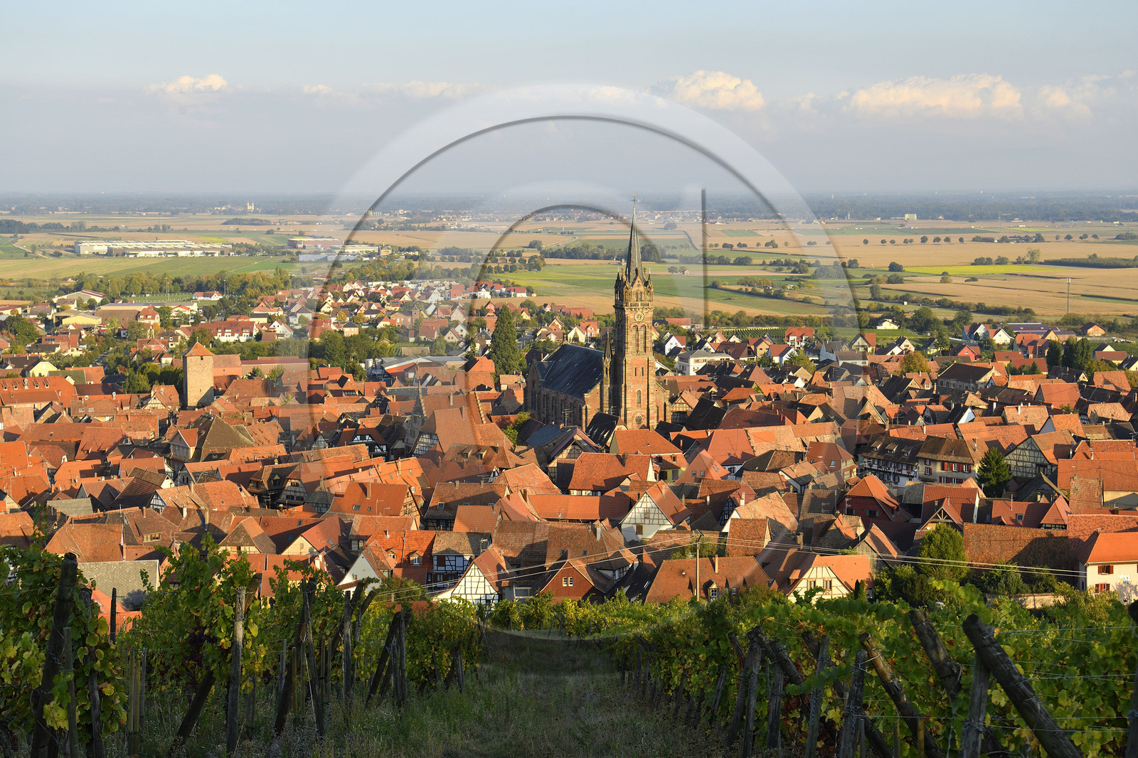 France, Dambach la Ville