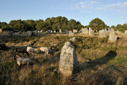 France, Carnac