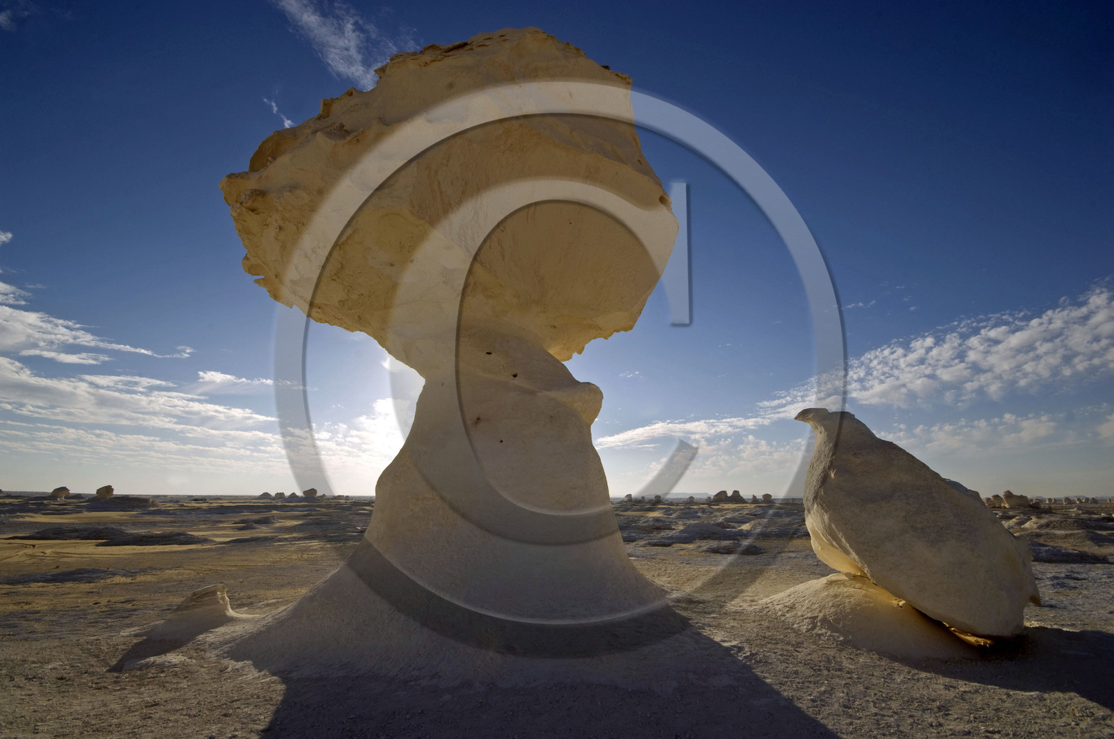 Egypte, désert blanc