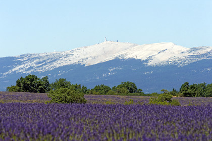 France, Sault