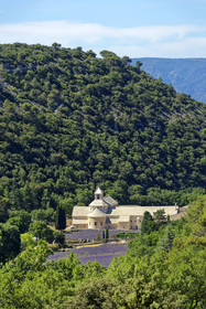 France, Senanque