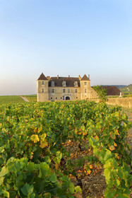 France, Vougeot