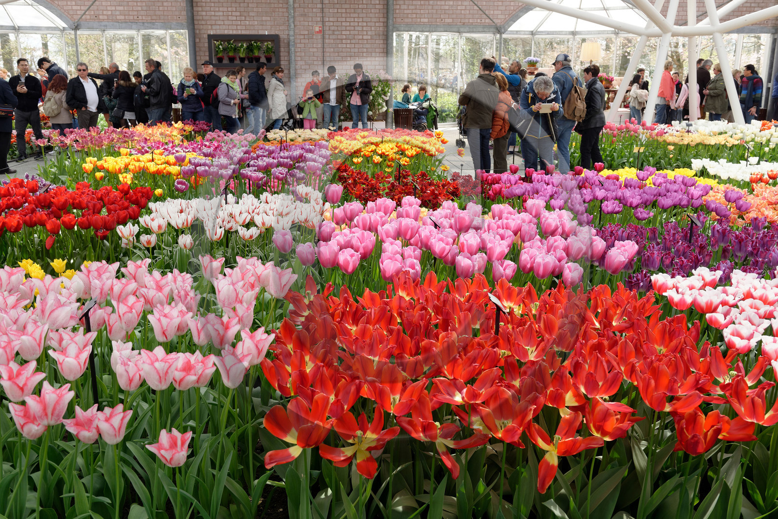 Hollande, Keukenhof