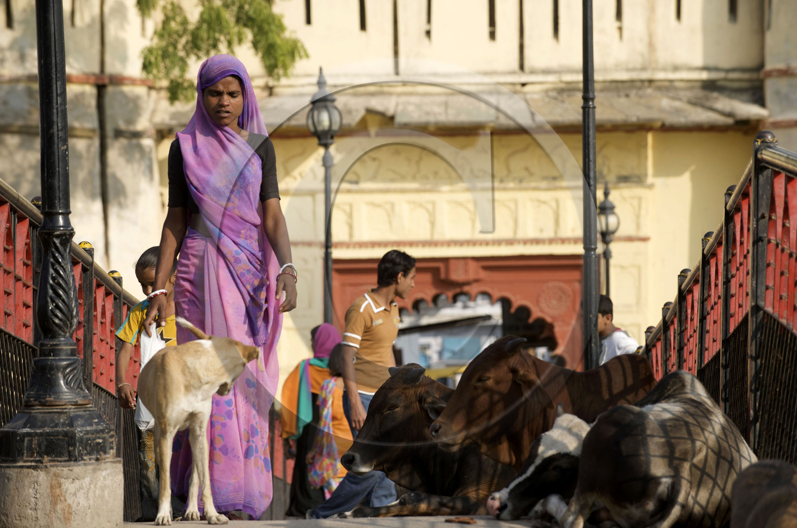 Inde, Udaipur