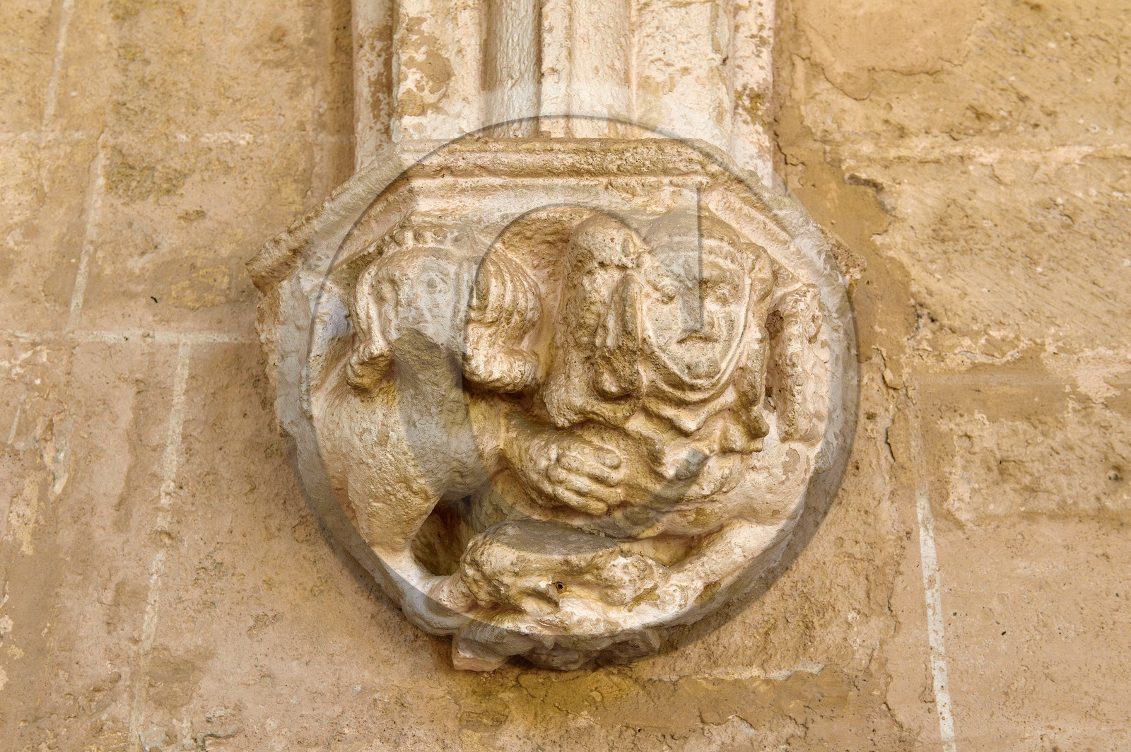 France, Valmagne