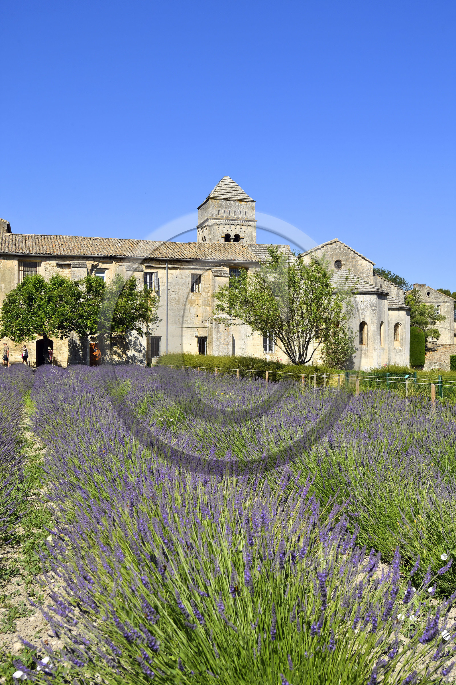 France, Saint Remy de Provence
