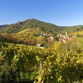 France, Ribeauville