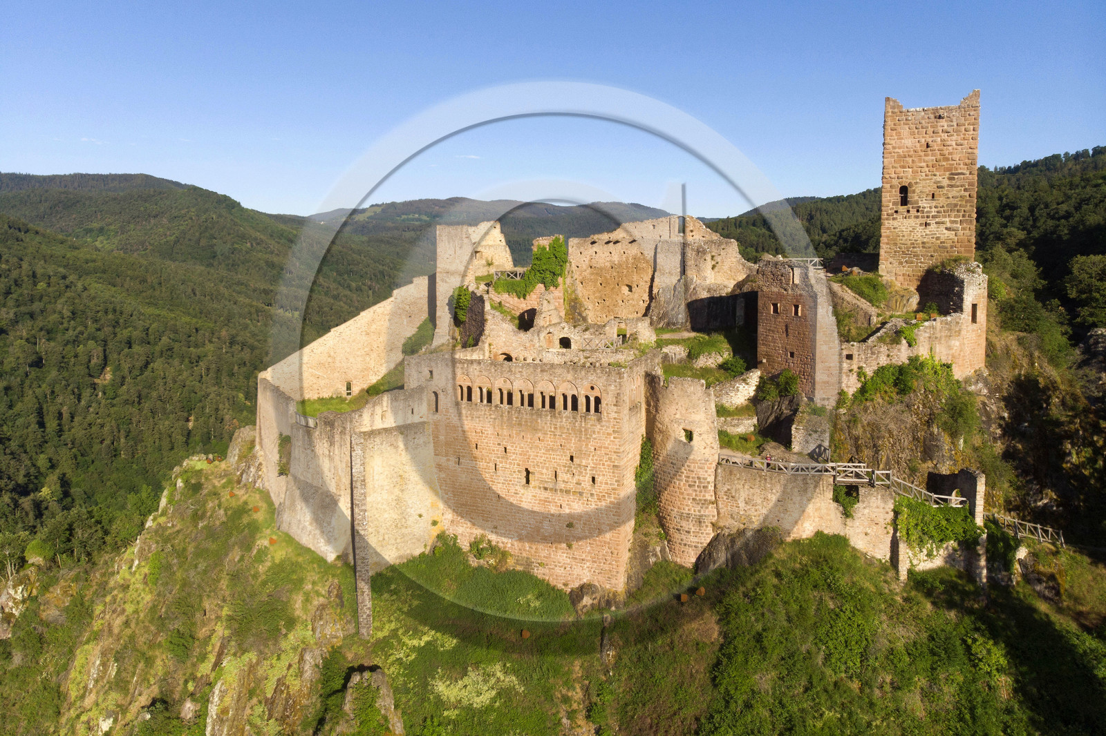 France, Ribeauville
