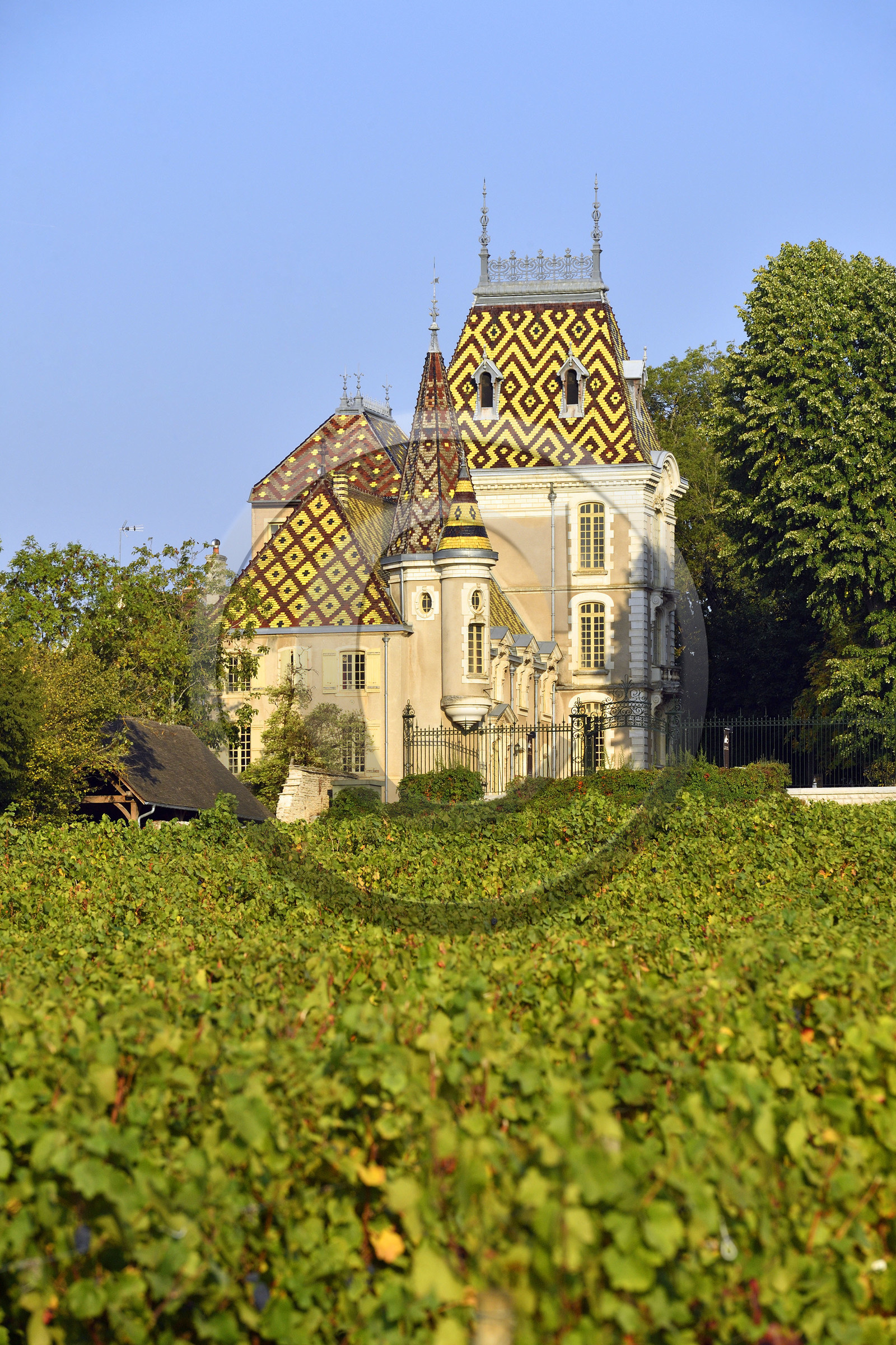France, Bourgogne