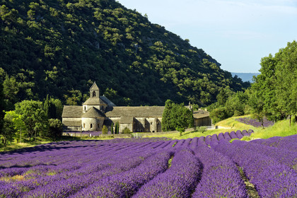 France, Senanque