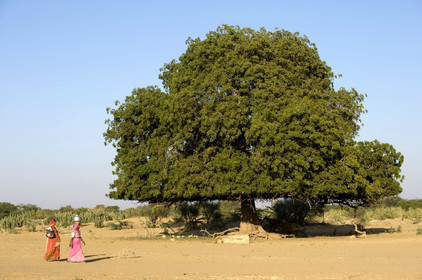 Inde, Jaisalmer