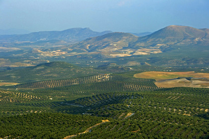 Espagne, Ubeda