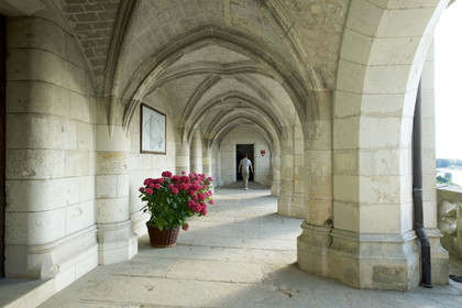France,  Amboise
