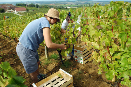Franche-Comte, France
