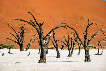 Namibie, Sossusvlei