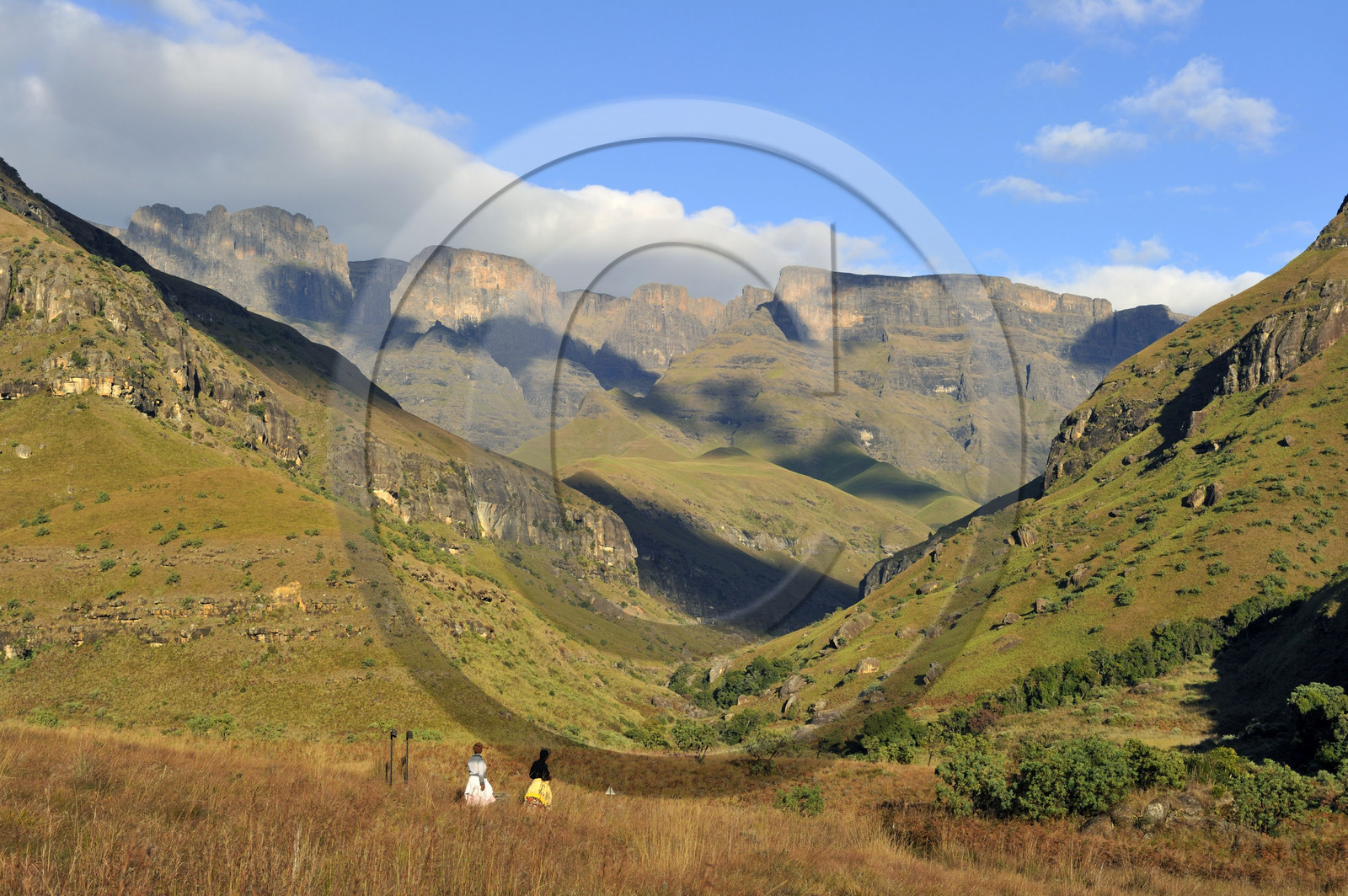 AFS, Drakensberg