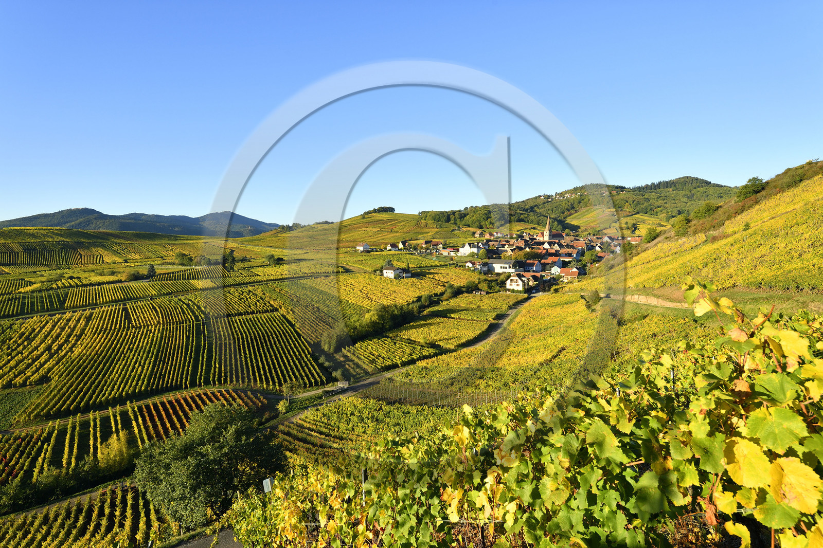 France, Niedermorschwihr