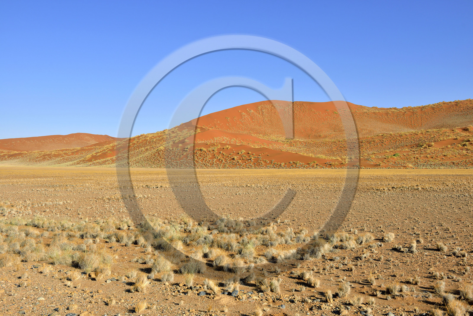 Namibie, Sossusvlei