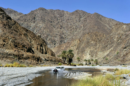 Oman, Nakhl
