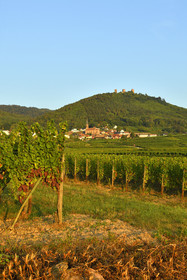 France, Husseren