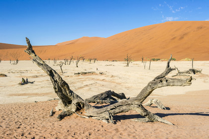 Namibie, Sossusvlei