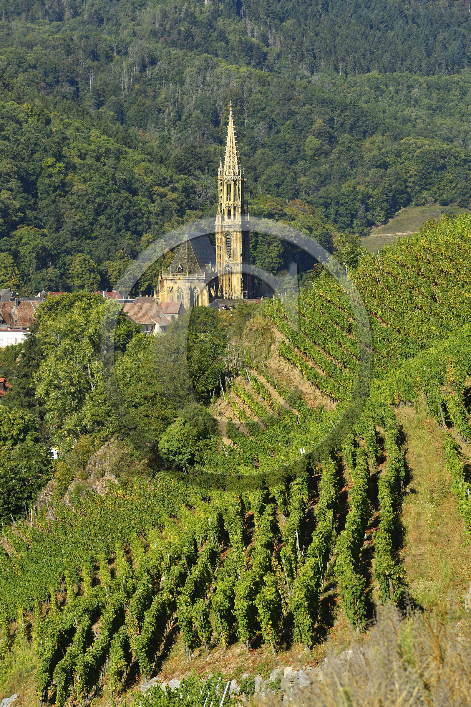 France, Thann