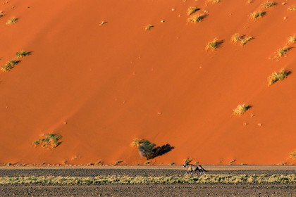 Namibie, Sossusvlei
