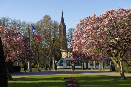 France, Strasbourg