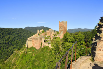 France, Ribeauville