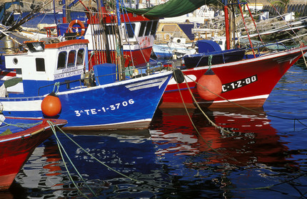 Canaries. Espagne
