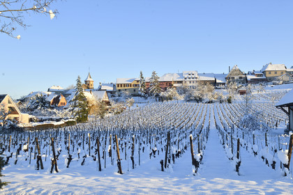 France, Zellenberg