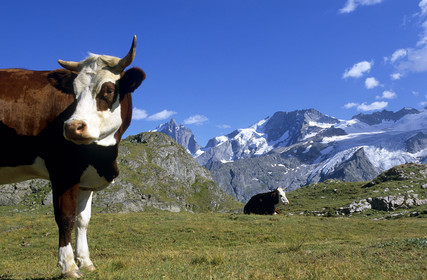 Alpes, France