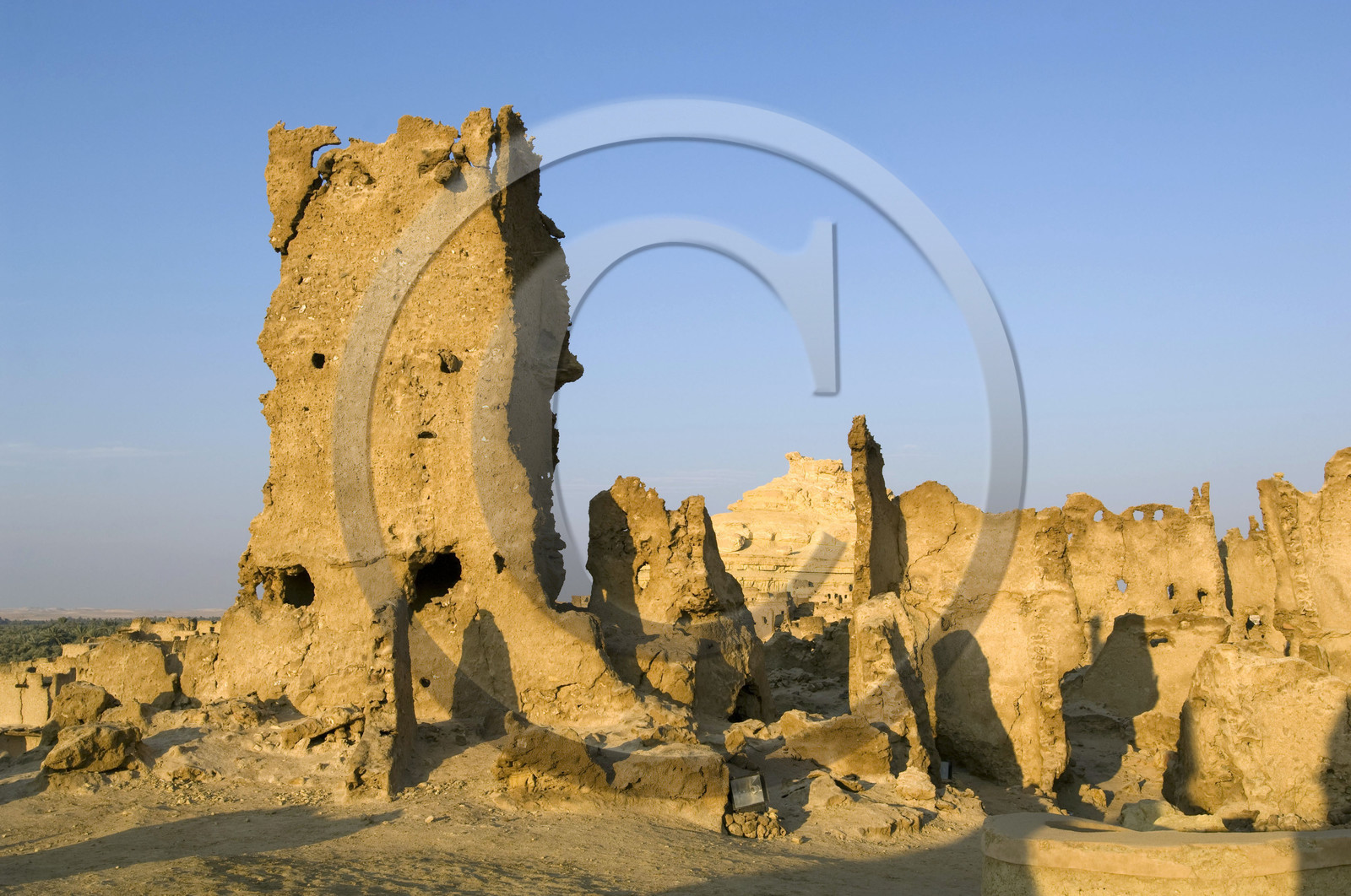 Egypte, Siwa