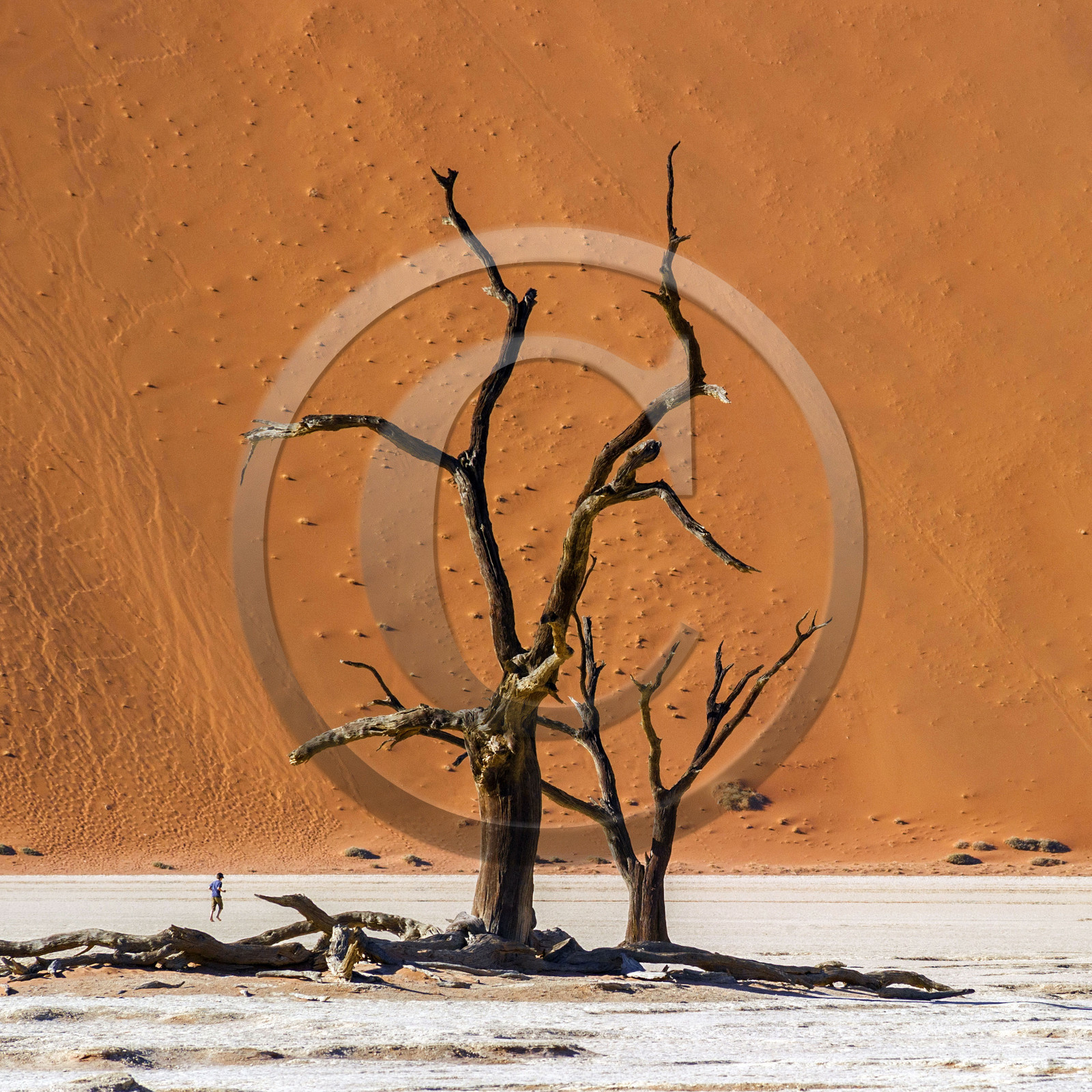 Namibie, Sossusvlei