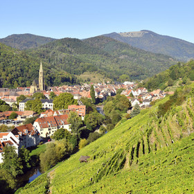 France, Thann
