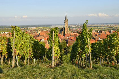 France, Dambach la Ville